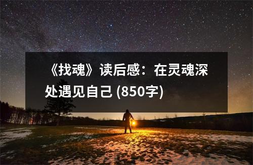 《找魂》讀后感：在靈魂深處遇見自己 (850字)