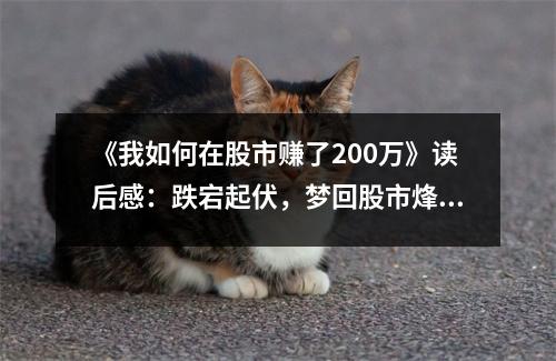 《我如何在股市賺了200萬》讀后感：跌宕起伏，夢回股市烽火歲月 (800字)