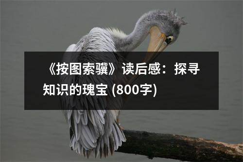 《按圖索驥》讀后感：探尋知識的瑰寶 (800字)