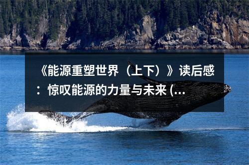 《能源重塑世界（上下）》讀后感：驚嘆能源的力量與未來 (650字)