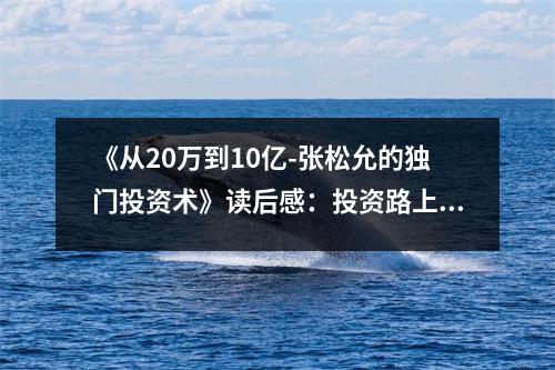 《從20萬到10億-張松允的獨(dú)門投資術(shù)》讀后感：投資路上，心路更寬廣 (900字)