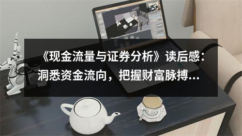 《現(xiàn)金流量與證券分析》讀后感：洞悉資金流向，把握財富脈搏 (950字)