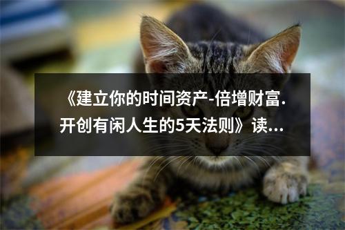 《建立你的時間資產(chǎn)-倍增財富.開創(chuàng)有閑人生的5天法則》讀后感：時間如金，規(guī)劃人生更精彩 (700字)