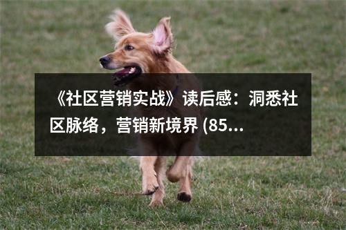 《社區(qū)營銷實戰(zhàn)》讀后感：洞悉社區(qū)脈絡(luò)，營銷新境界 (850字)