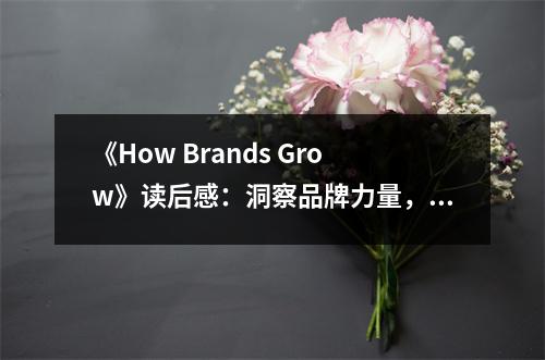 《How Brands Grow》讀后感：洞察品牌力量，激發(fā)無限潛能 (750字)