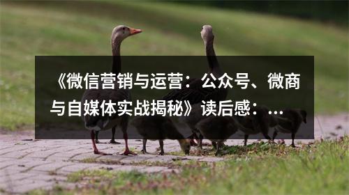 《微信營銷與運(yùn)營：公眾號、微商與自媒體實(shí)戰(zhàn)揭秘》讀后感：營銷奧秘盡收眼底，未來無限可能 (1150字)