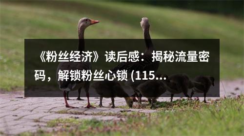《粉絲經(jīng)濟(jì)》讀后感：揭秘流量密碼，解鎖粉絲心鎖 (1150字)