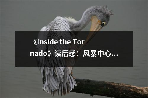 《Inside the Tornado》讀后感：風暴中心，心靈震撼 (750字)