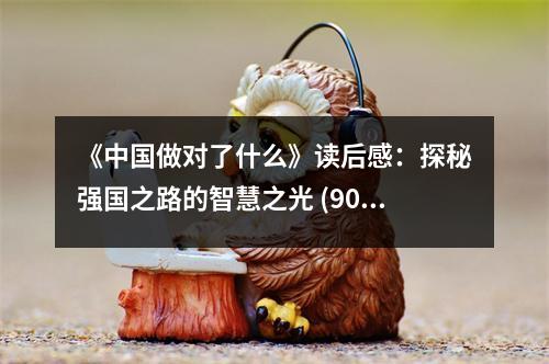 《中國做對了什么》讀后感：探秘強(qiáng)國之路的智慧之光 (900字)