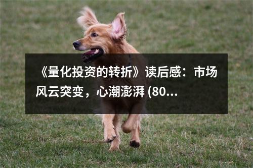 《量化投資的轉(zhuǎn)折》讀后感：市場風(fēng)云突變，心潮澎湃 (800字)