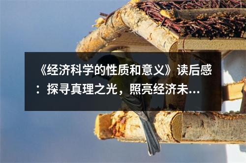 《經(jīng)濟(jì)科學(xué)的性質(zhì)和意義》讀后感：探尋真理之光，照亮經(jīng)濟(jì)未來 (900字)