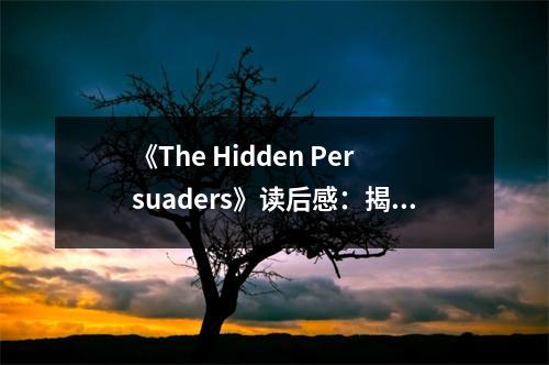 《The Hidden Persuaders》讀后感：揭示操控背后的真實(shí)心理 (800字)