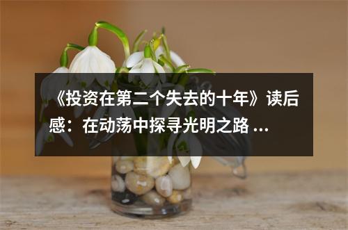 《投資在第二個(gè)失去的十年》讀后感：在動(dòng)蕩中探尋光明之路 (800字)