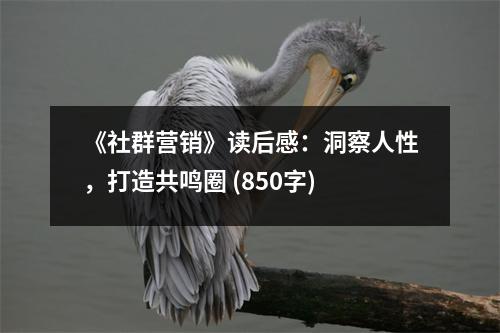 《社群營銷》讀后感：洞察人性，打造共鳴圈 (850字)
