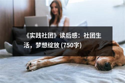《實(shí)踐社團(tuán)》讀后感：社團(tuán)生活，夢想綻放 (750字)