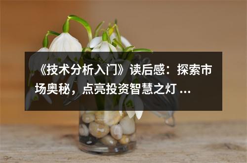 《技術(shù)分析入門》讀后感：探索市場(chǎng)奧秘，點(diǎn)亮投資智慧之燈 (950字)
