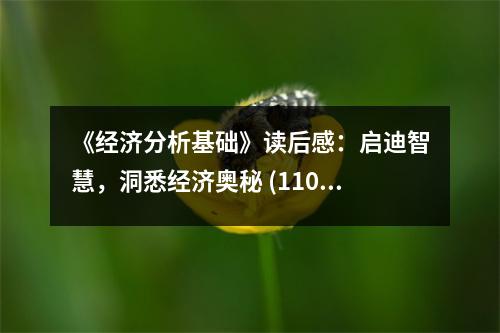 《經(jīng)濟(jì)分析基礎(chǔ)》讀后感：啟迪智慧，洞悉經(jīng)濟(jì)奧秘 (1100字)