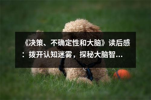 《決策、不確定性和大腦》讀后感：撥開認(rèn)知迷霧，探秘大腦智慧之光 (800字)