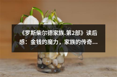 《羅斯柴爾德家族.第2部》讀后感：金錢的魔力，家族的傳奇 (1000字)