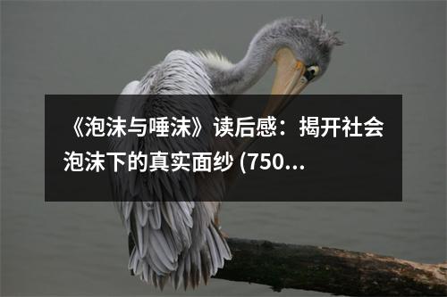 《泡沫與唾沫》讀后感：揭開(kāi)社會(huì)泡沫下的真實(shí)面紗 (750字)