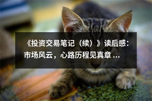 《投資交易筆記（續(xù)）》讀后感：市場(chǎng)風(fēng)云，心路歷程見(jiàn)真章 (750字)