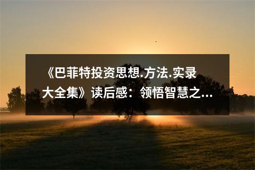 《巴菲特投資思想.方法.實(shí)錄 大全集》讀后感：領(lǐng)悟智慧之光，點(diǎn)亮人生之路 (750字)