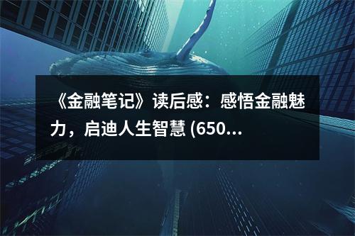 《金融筆記》讀后感：感悟金融魅力，啟迪人生智慧 (650字)