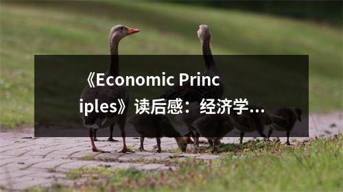 《Economic Principles》讀后感：經(jīng)濟(jì)學(xué)智慧，點(diǎn)亮生活之路 (900字)
