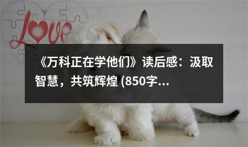 《萬(wàn)科正在學(xué)他們》讀后感：汲取智慧，共筑輝煌 (850字)