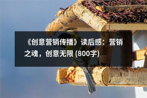 《創(chuàng)意營(yíng)銷(xiāo)傳播》讀后感：營(yíng)銷(xiāo)之魂，創(chuàng)意無(wú)限 (800字)