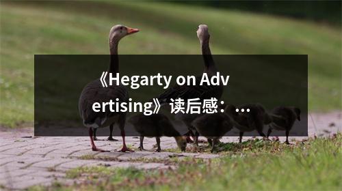 《Hegarty on Advertising》讀后感：創(chuàng)意與策略的完美融合 (1050字)