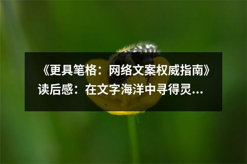 《更具筆格：網(wǎng)絡文案權(quán)威指南》讀后感：在文字海洋中尋得靈魂燈塔 (900字)