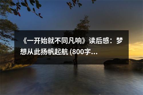 《一開始就不同凡響》讀后感：夢想從此揚(yáng)帆起航 (800字)
