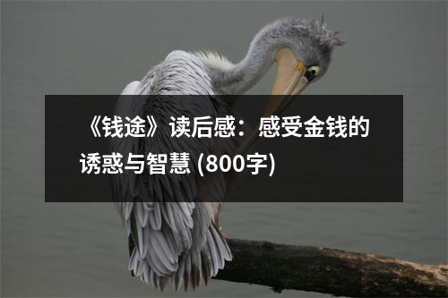 《錢途》讀后感：感受金錢的誘惑與智慧 (800字)