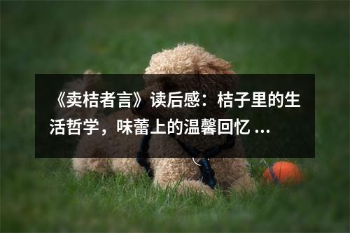 《賣桔者言》讀后感：桔子里的生活哲學(xué)，味蕾上的溫馨回憶 (1050字)
