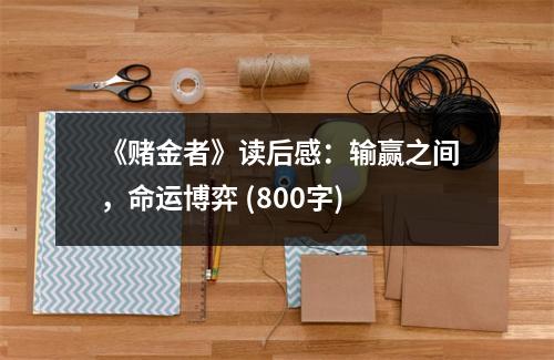 《賭金者》讀后感：輸贏之間，命運(yùn)博弈 (800字)