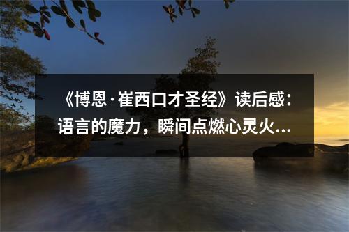 《博恩·崔西口才圣經(jīng)》讀后感：語言的魔力，瞬間點(diǎn)燃心靈火花 (1050字)