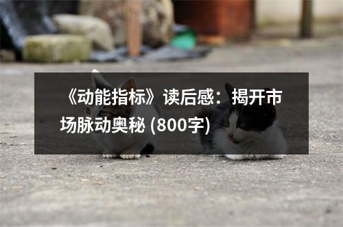 《動能指標(biāo)》讀后感：揭開市場脈動奧秘 (800字)