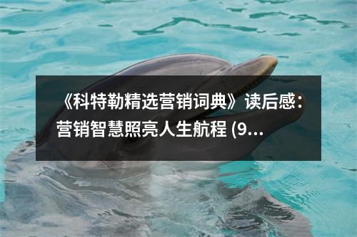 《科特勒精選營銷詞典》讀后感：營銷智慧照亮人生航程 (900字)