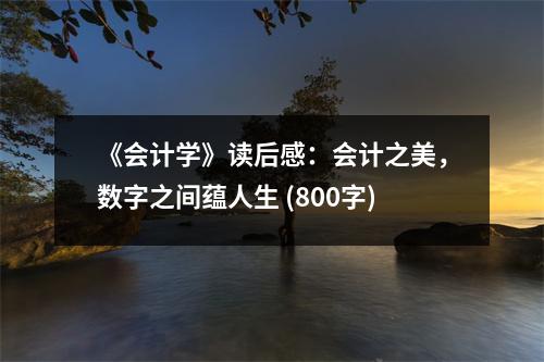 《會(huì)計(jì)學(xué)》讀后感：會(huì)計(jì)之美，數(shù)字之間蘊(yùn)人生 (800字)