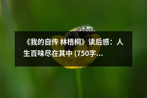 《我的自傳 林梧桐》讀后感：人生百味盡在其中 (750字)
