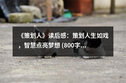 《策劃人》讀后感：策劃人生如戲，智慧點(diǎn)亮夢(mèng)想 (800字)