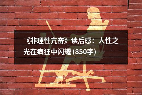 《非理性亢奮》讀后感：人性之光在瘋狂中閃耀 (850字)