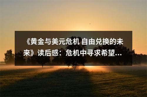 《黃金與美元危機(jī) 自由兌換的未來》讀后感：危機(jī)中尋求希望之光 (800字)