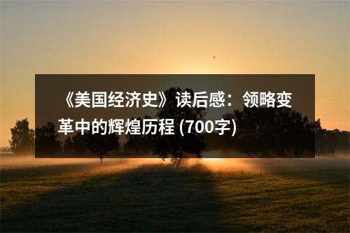 《美國經(jīng)濟(jì)史》讀后感：領(lǐng)略變革中的輝煌歷程 (700字)