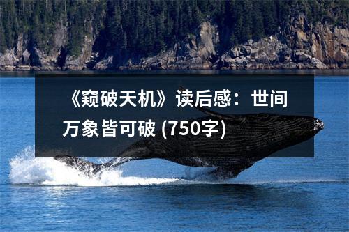 《窺破天機(jī)》讀后感：世間萬象皆可破 (750字)