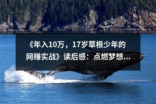 《年入10萬，17歲草根少年的網賺實戰(zhàn)》讀后感：點燃夢想，勇敢前行 (900字)
