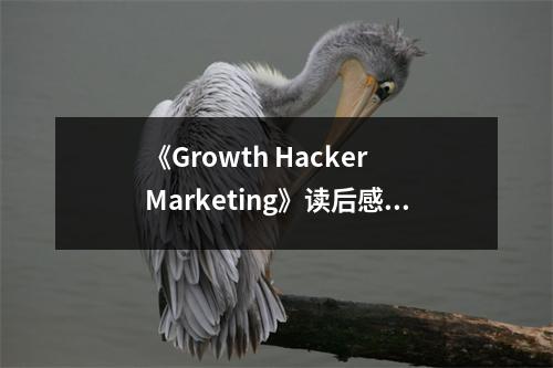 《Growth Hacker Marketing》讀后感：顛覆傳統(tǒng)營銷的創(chuàng)意革命 (800字)