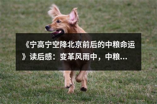 《寧高寧空降北京前后的中糧命運(yùn)》讀后感：變革風(fēng)雨中，中糧重生路 (700字)