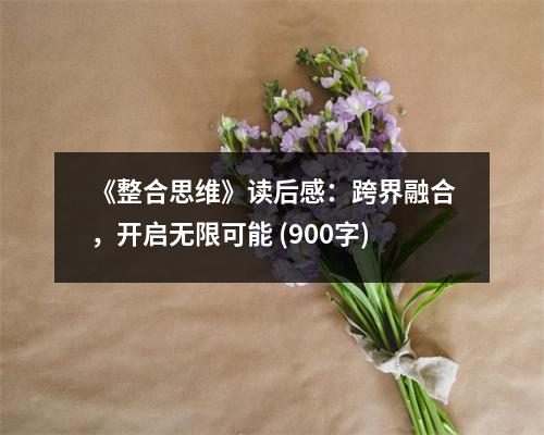 《整合思維》讀后感：跨界融合，開啟無限可能 (900字)